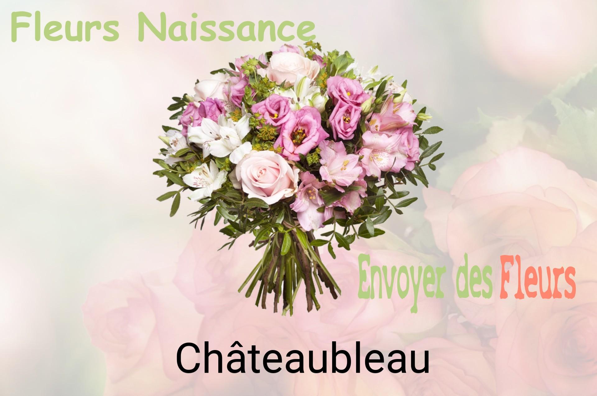 Bouquet de fleurs de naissance livré à Châteaubleau