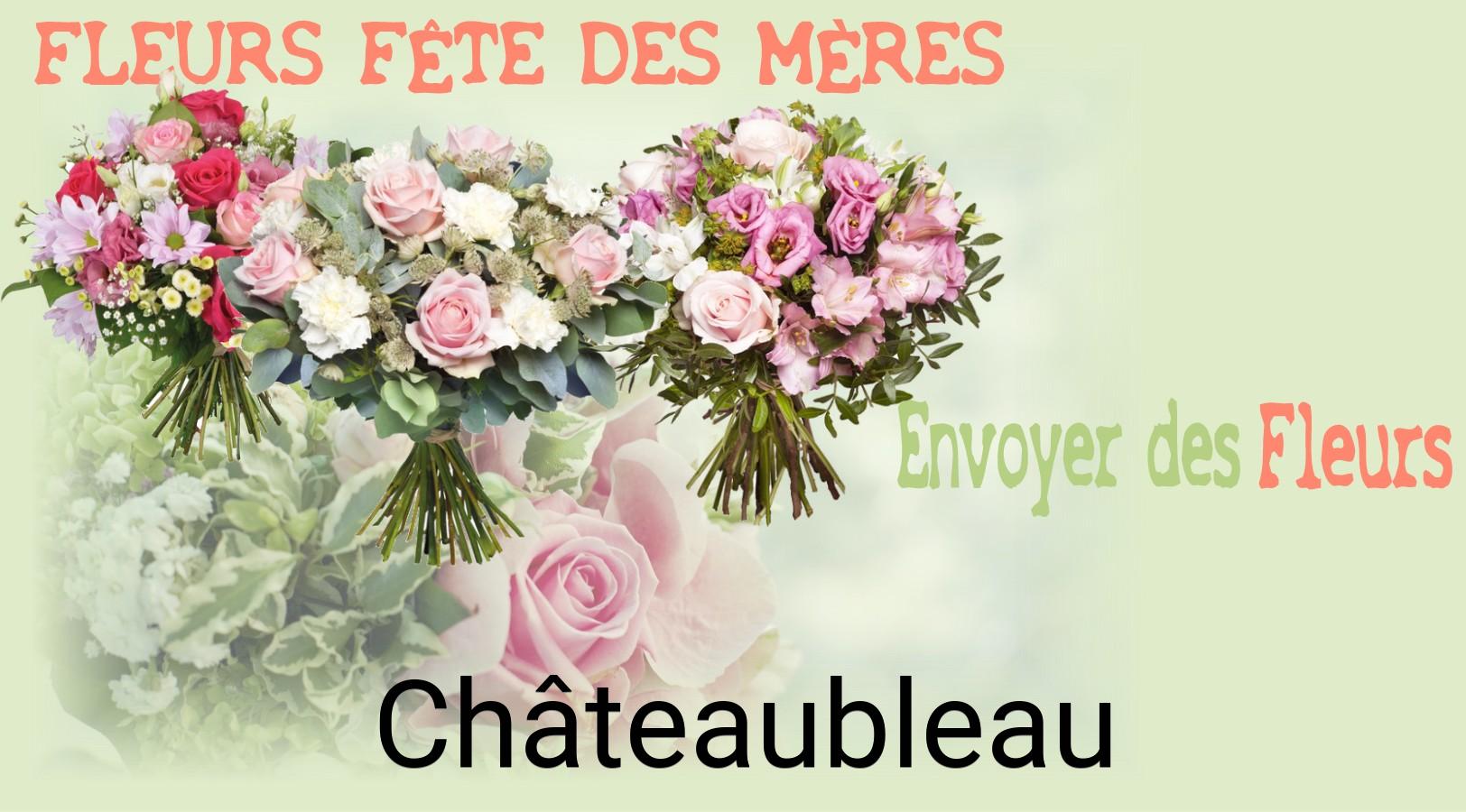 Bouquet de Fête des Mères livré à Châteaubleau